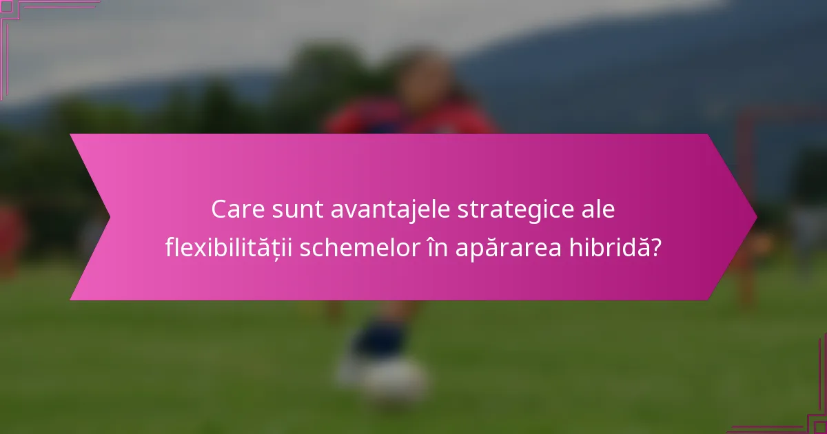 Care sunt avantajele strategice ale flexibilității schemelor în apărarea hibridă?