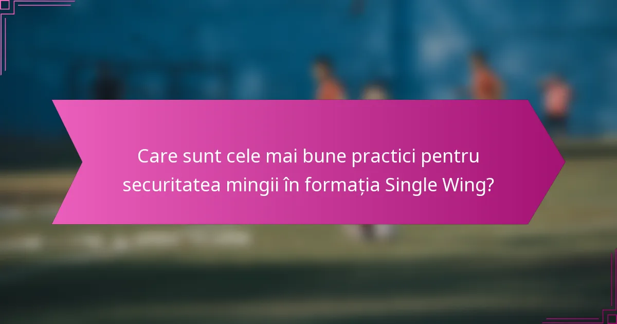 Care sunt cele mai bune practici pentru securitatea mingii în formația Single Wing?