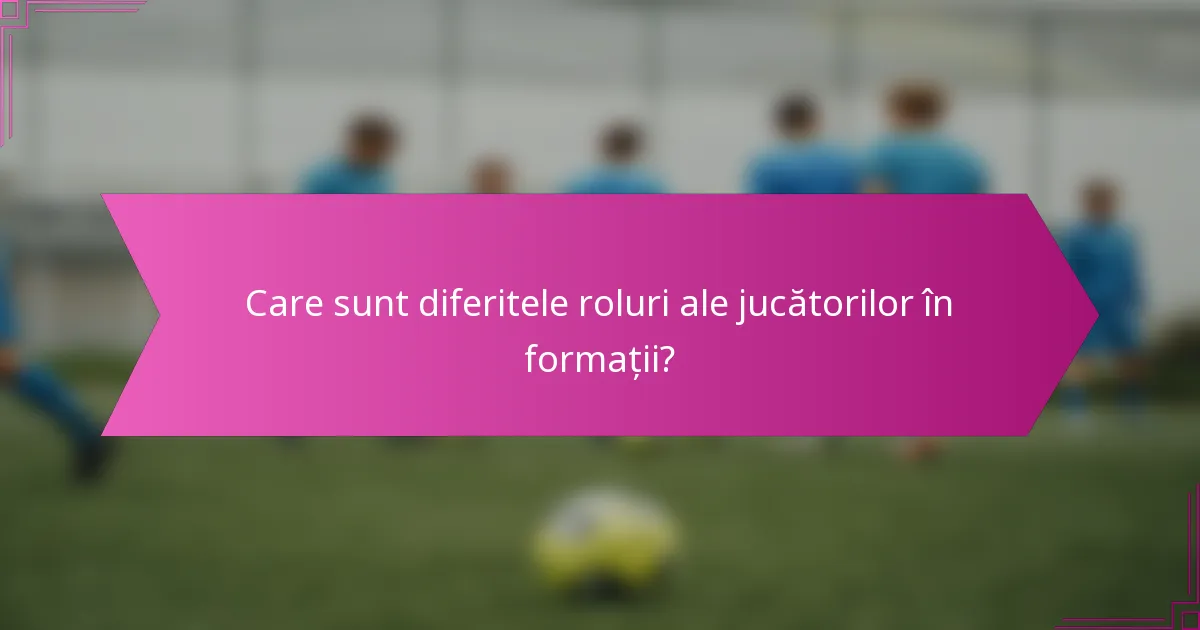 Care sunt diferitele roluri ale jucătorilor în formații?