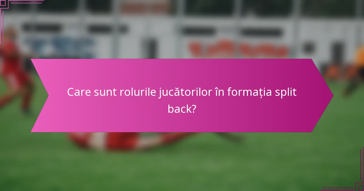 Care sunt rolurile jucătorilor în formația split back?