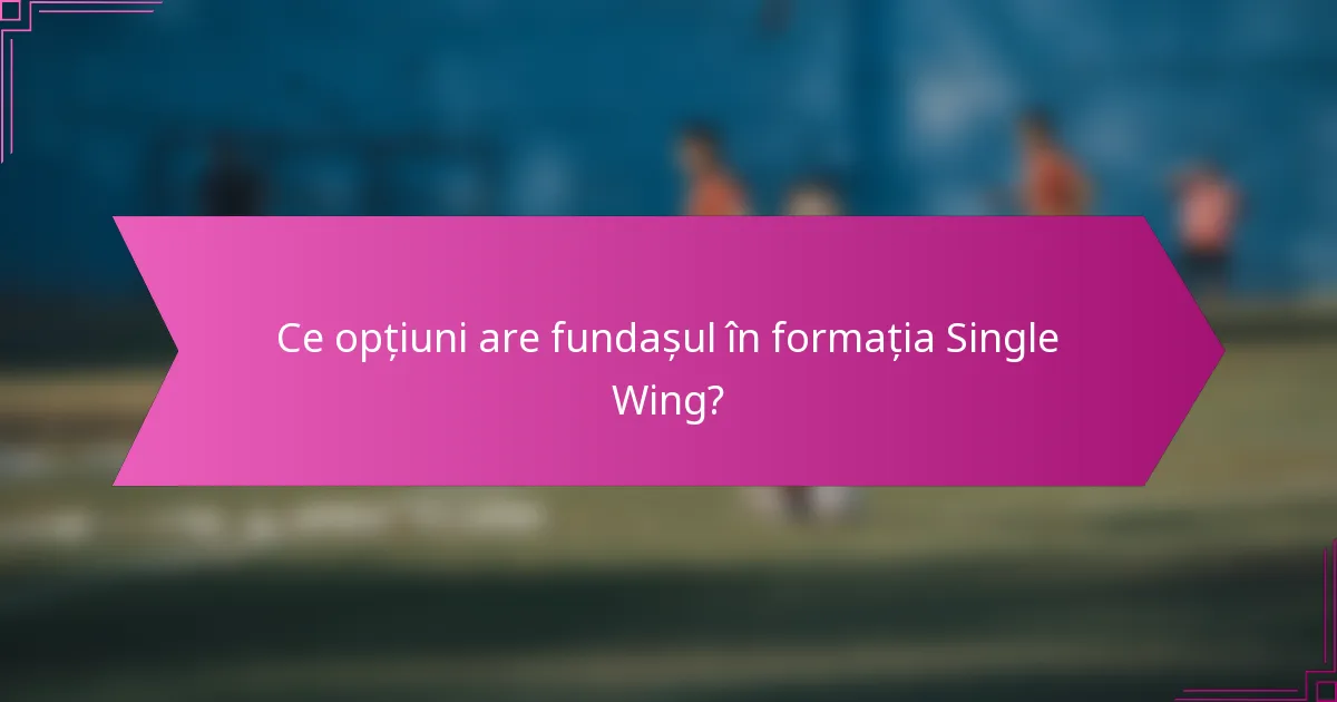 Ce opțiuni are fundașul în formația Single Wing?
