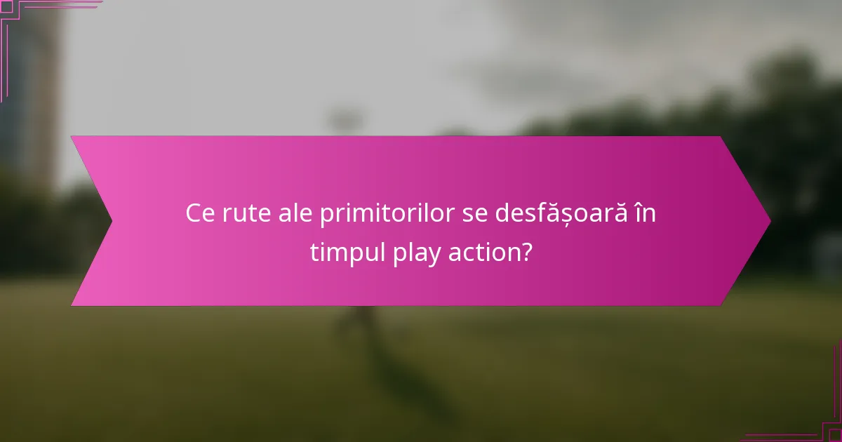 Ce rute ale primitorilor se desfășoară în timpul play action?