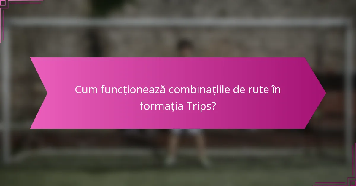 Cum funcționează combinațiile de rute în formația Trips?
